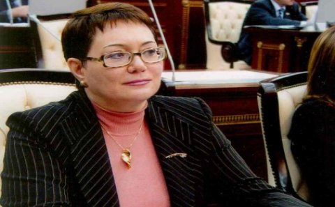 “Bahalı polis maşınları yox, qartəmizləyən texnika almaq lazımdır” - Elmira Axundova
