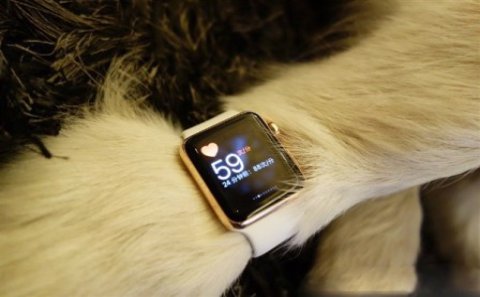 Milyarder oğlu itinə Apple saatı bağışladı