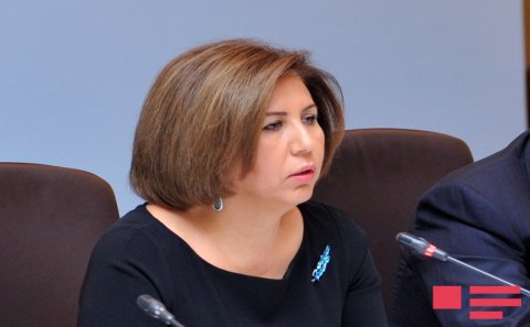 "Avropa Parlamentinin missiyasından öz maraqları üçün istifadə edənlər var, Lunaçek onların ən fəalıdır"