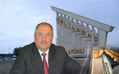 Cəlilabad icra başçısı Əziz Əzizov meşələri qırdırır - ayda 3000- nə