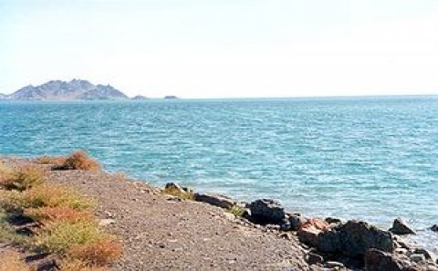 Bu gün Xəzər dənizinin ətraf mühitinin mühafizəsi günüdür