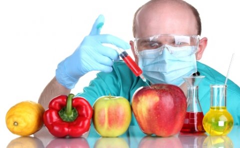GMO məhsullar hansı xəstəliklərə səbəb olur?- AÇIQLAMA