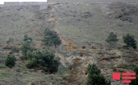 Saxta sənədlə 29 min manata torpaq satdı...