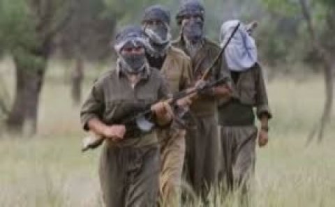 PKK terrorçuları Türkiyədə 316 uşaq qaçırıb