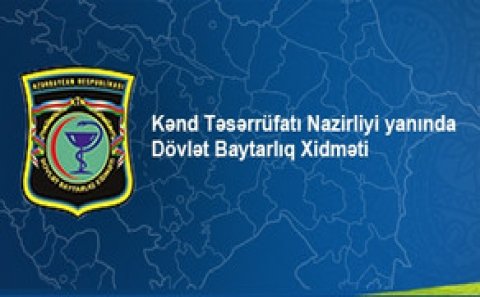 Qurban bayramı günlərində heyvan satışına nəzarət olunacaq