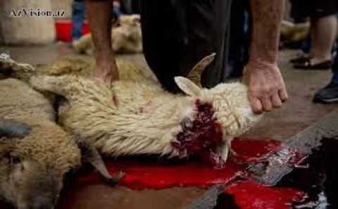 Ət kəsimi məntəqələrində reydlər keçiriləcək