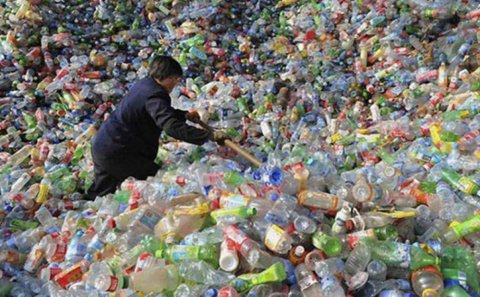 Yapon alimlərinin dünyanı heyrətə salan kəşfi.. Balistik kütlə yeyən bakteriyalar məhv olunacaq