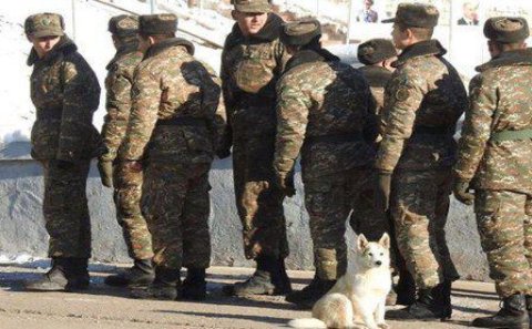 Ermənistan ordusunda kütləvi İNTİHARLAR- GÜLLƏLƏNMƏLƏR... 