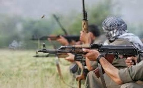PKK liderlərindən biri həlak oldu