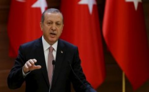 Ərdoğan Gülən hərəkatına qarşı əməliyyatlardan narazıdır