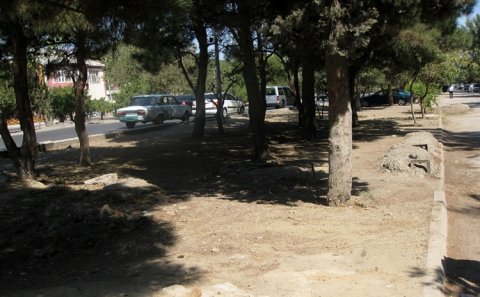 Dövlət Baytarlıq Nəzarəti Xidməti qayda pozuntuları aşkarladı - Fotolar