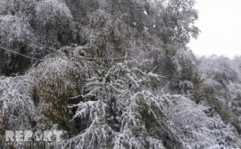 Qusara yağan güclü qar dağlıq kəndi işıqsız qoyub - FOTO