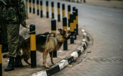 Azərbaycanla Rusiya sərhəddə terrorçuluğa qarşı birgə əməliyyata başladı