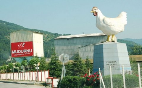 Azərbaycanı yumurta və toyuq əti ilə təchiz edən ermənilər-Oskayan və Bozacıyan 