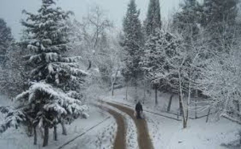 Xəbərdarlıq: Qar yağacaq-Hava yenidən soyuyur