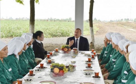 Prezidentə ən çox şikayət edən rayonların adları açıqlandı