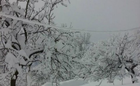 Lerikdə qar uçqunu: bəzi kəndlərlə əlaqə kəsildi - FOTO