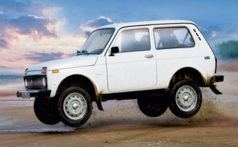 Niva