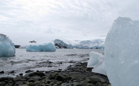 Planet suyun altında qalacaq-Alimləri qorxudan kəşf