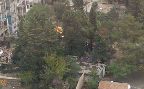 Bakıda növbəti “yaşıl soyqırım”: Ağaclar belə məhv edilir - VİDEO + FOTO