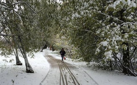 Sabaha gözlənilən hava proqnozu
