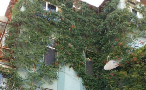 Sürüşmə zonasında villa satışa çıxarıldı - Qiyməti... + Fotolar