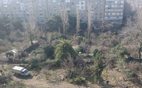 Xətaidə park salmaq adı ilə daha bir yaşıllıq məhv edildi