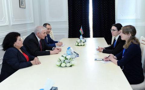 Alina Russu: Seçki prosesi mükəmməl təşkil edilib