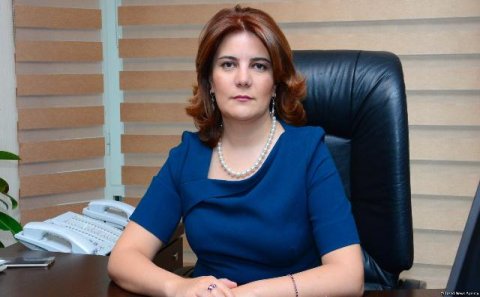 Vüsalə Mahirqızı APA-nın aqibəti haqda açıqlama verdi: “Araşdırma aparılır”  