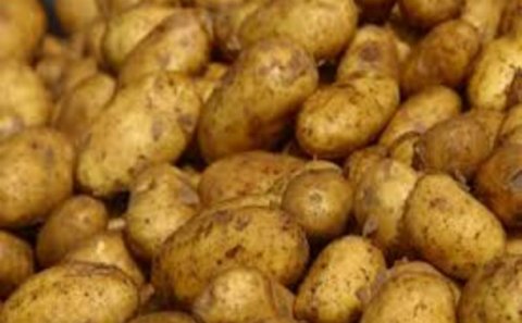 25 ton kartofun İrandan Azərbaycana daxil olmasının qarşısı alınıb