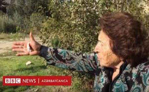 Xətai rayonunda ağacların kəsilməsinə etiraz: 