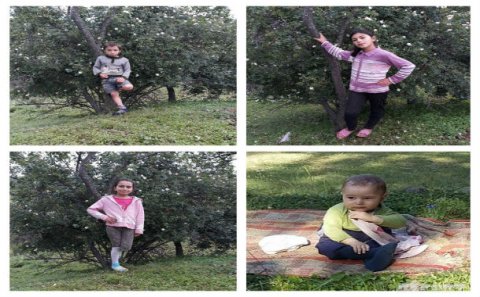 Daşkəsəndə yanğın zamanı ölən uşaqlar... - FOTOLAR