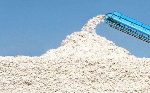 Azərbaycanda kənd təsərrüfatı tullantılarından enerji istehsal olunacaq