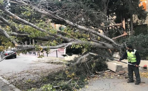 Nazirlik Xətai rayon İcra Hakimiyyətinə 