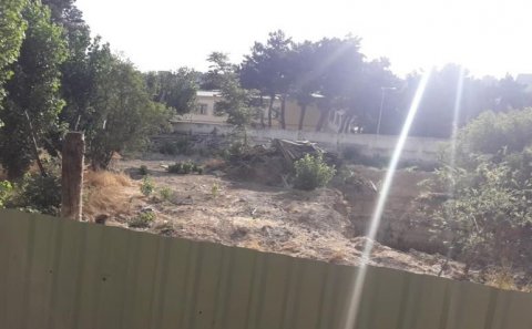 Xətaidə ağac soyqırımı: İş Baş Prokurorluğa göndərildi