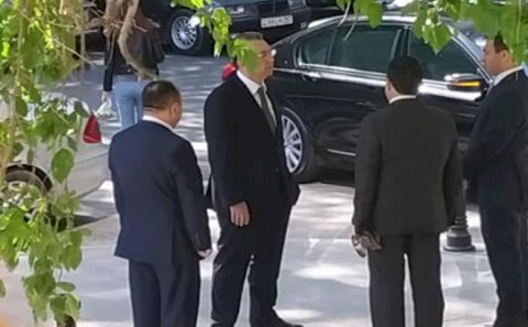 Bakıda daha bir yaşıl soyqırımı... - Eldar Əzizov hadisə yerinə getdi