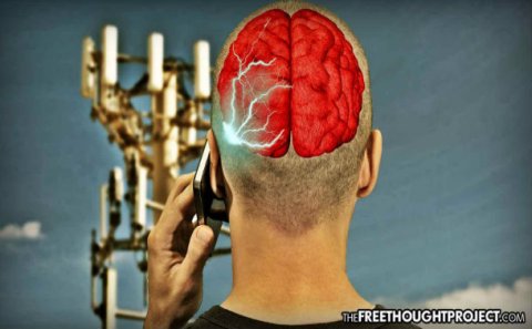 İnsan orqanizmi üçün təhlükəli texnologiya – 5G-nin ləğvi tələb olunur