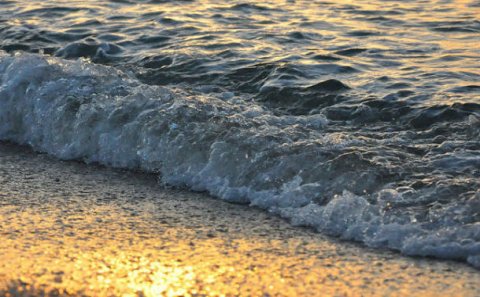 Xəzəri çirkləndirən obyekt sahibləri cəzalandırılıblar – SİYAHI