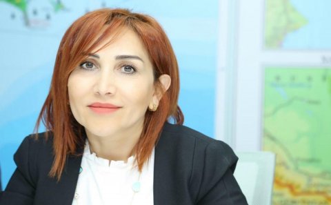 23 obyektin fəaliyyətinin dayandırılması üçün məhkəmələrə müraciət edilib