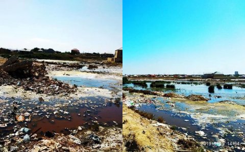 RƏZALƏT! Şəhid ailələrinə ev tikmək üçün bataqlıqdan torpaq verilib (FOTOLAR)