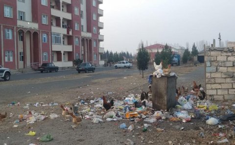Ağdamda ƏLİL taleyi yaşayan “Əlillər binası” - “Balaxanı zibilliyi”ni xatırladan...
