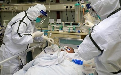 Korona nə qədər davam edəcək? – Harvard İnstitutu