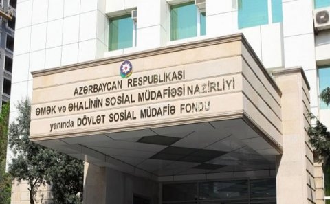 DSMF 556 min manata ofis icarəyə götürdü