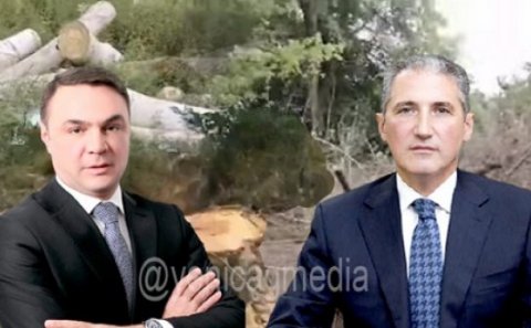 Deputatın atası meşələri niyə xaraba qoyur?