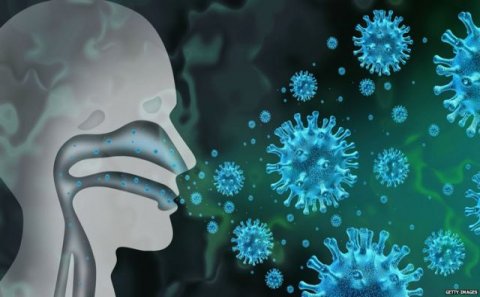 Dəhşətli virus yayıldı: MÜALİCƏSİ YOXDUR
