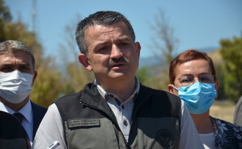 Türkiyədə son durum: Nazir yeni xəbərləri açıqladı