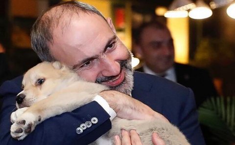 Paşinyan reklamda çəkildi: “Buynuzlu dostlar” – VİDEO