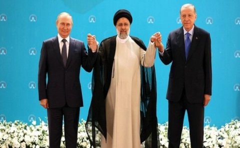 Berbok: Ərdoğanın bu fotoda olması meydan oxumaqdır