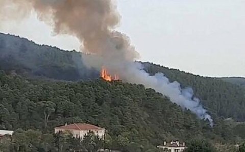 Qəbələ və Xaçmazda yanğınlar söndürüldü