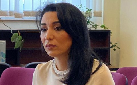 Ombudsman beynəlxalq təşkilatlara müraciət etdi